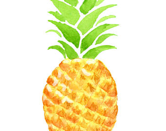 340x270 Pineapple Clipart Images Collection