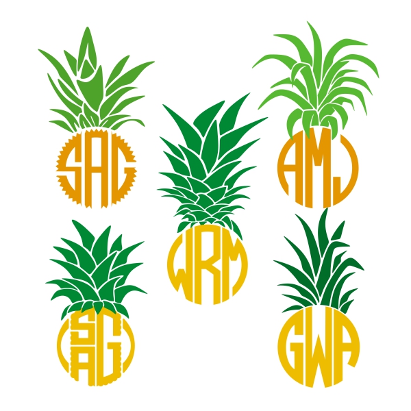 600x600 Pineapple Top Monogram Cuttable Frame Cut File. Vector, Clipart
