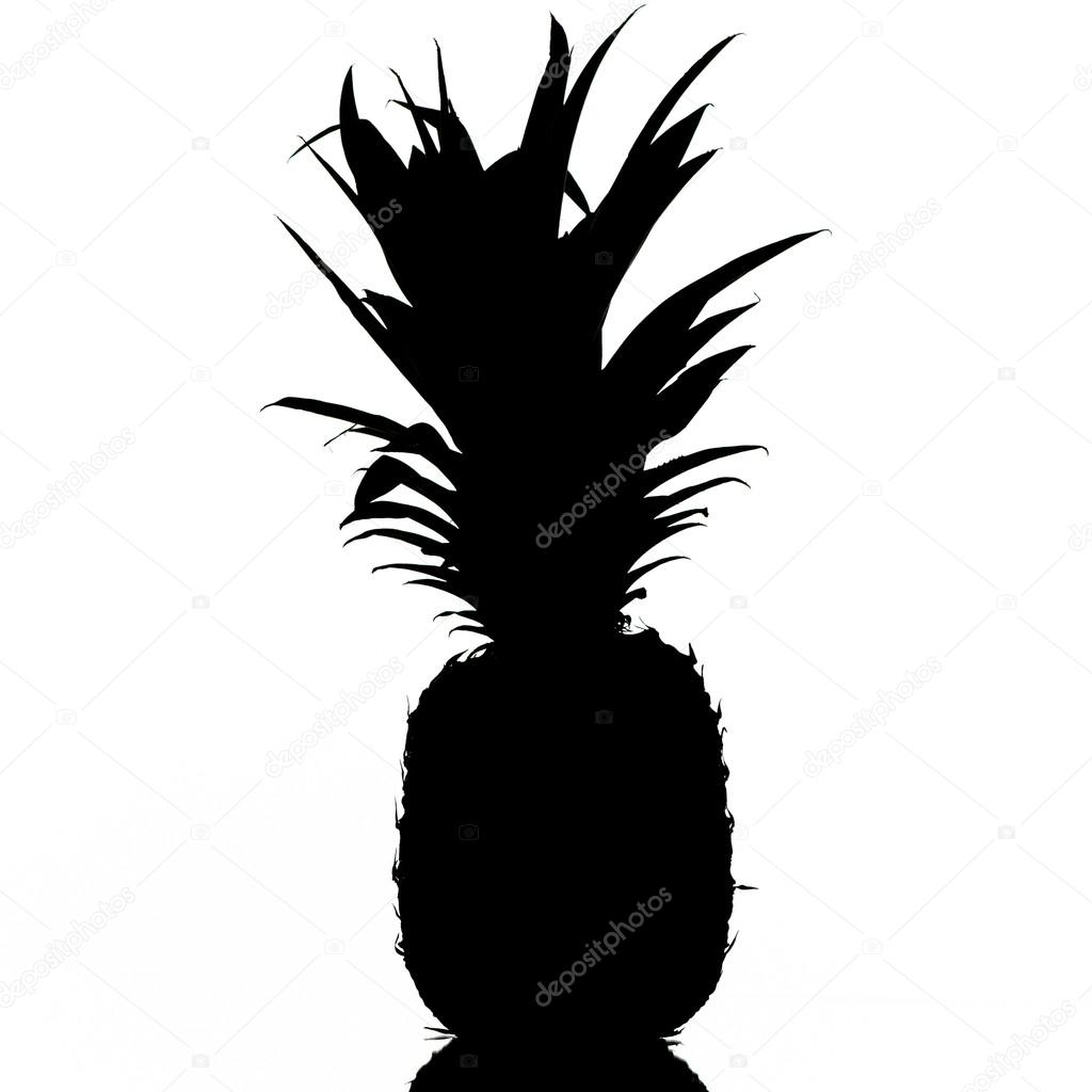1024x1024 Pineapple Silhouette Stock Photo Sharpshutter