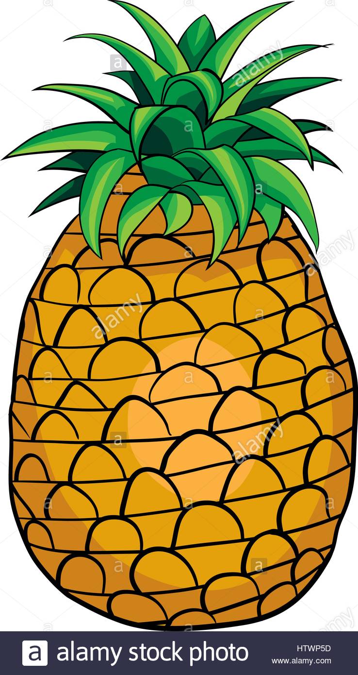 738x1390 Illustration Of Isolated Cartoon Pineapple. Vector Eps 8 Stock