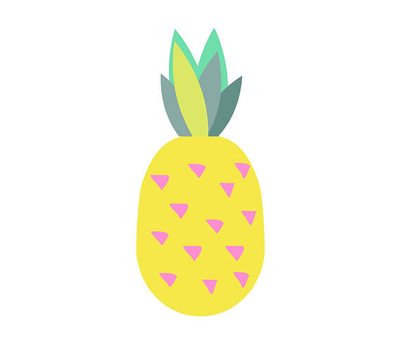 570x488 Pineapple Clipart Pineapples Set Pine Vector Pineapple