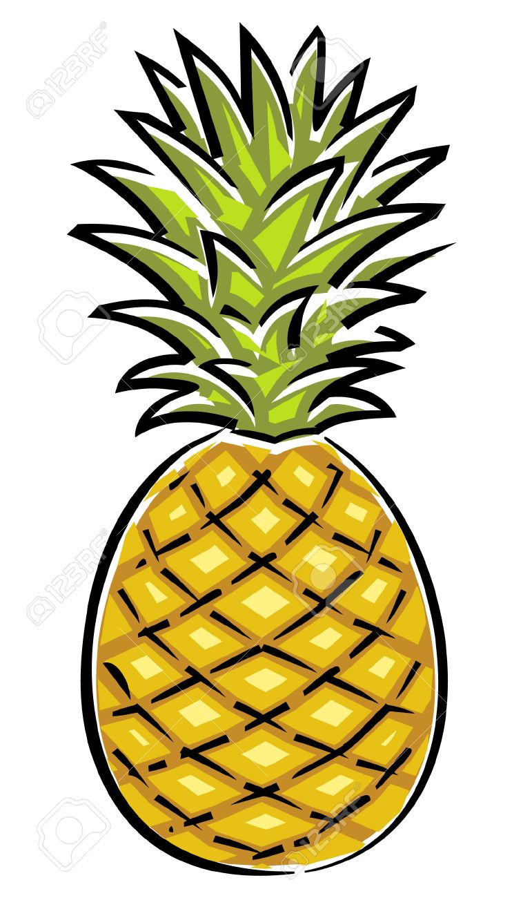 758x1300 Pineapple Vector