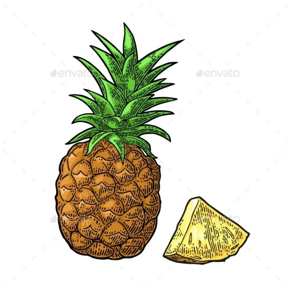 590x590 The Best Pineapple Vector Ideas Geometry Art