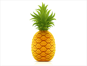 305x230 Vector Clipart Pineapple