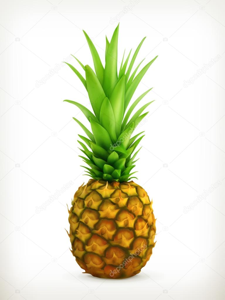 768x1024 Vector Pineapple Background Stock Vectors, Royalty Free Vector
