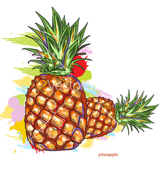 334x352 Free Pineapple Vector Pack Free Vector Download 346857 Cannypic