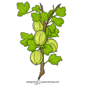 176x176 Fresh Pineapple Vector Super Coloring