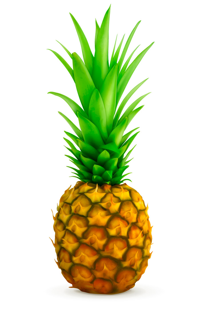 720x1094 Pineapple Vector Free Download Clipart Panda