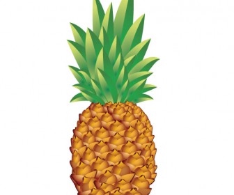 336x280 Pineapple Vector Art