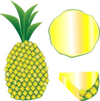 344x350 Sliced Pineapple