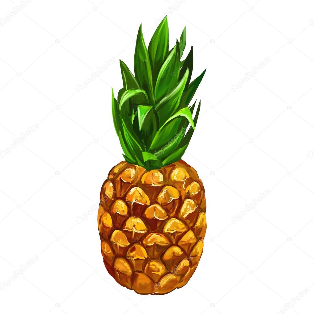 1024x1024 Fruit Pineapple Vector Illustration Hand Drawn Painted Stock