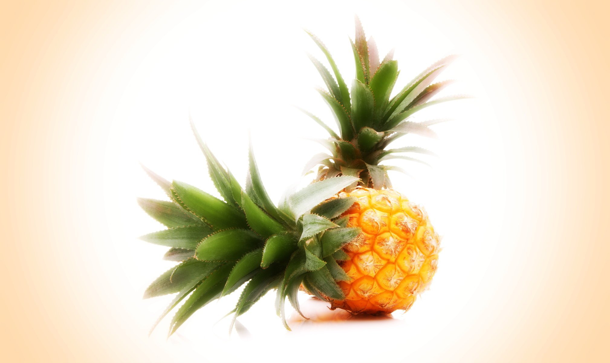 2018x1200 Images Of Pineapple Fruit Wallpaper