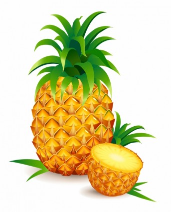 343x425 Pineapple Wallpaper Tumblr Free Clipart Images Image