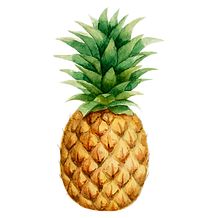 218x218 Melhores Ideias De Tatuagem Abacaxi No Tatuagens