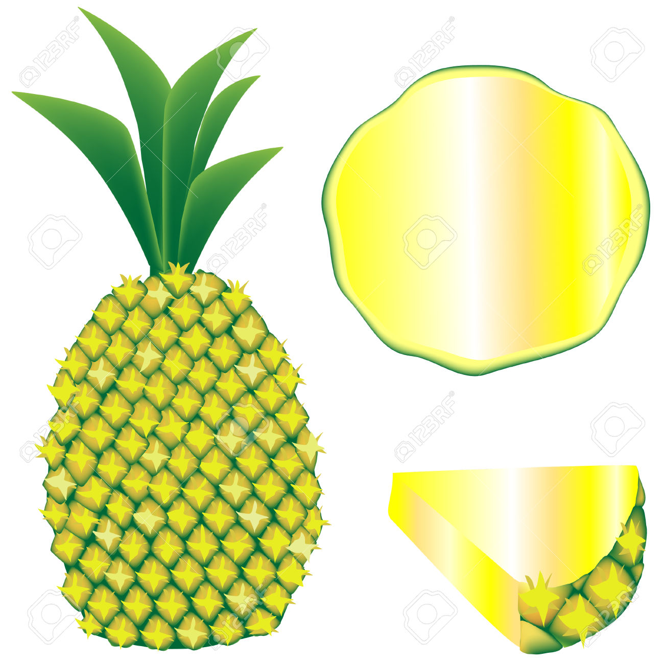 1300x1300 Pineapple Clipart Pineapple Slice