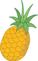 122x195 Search Results For Fruit