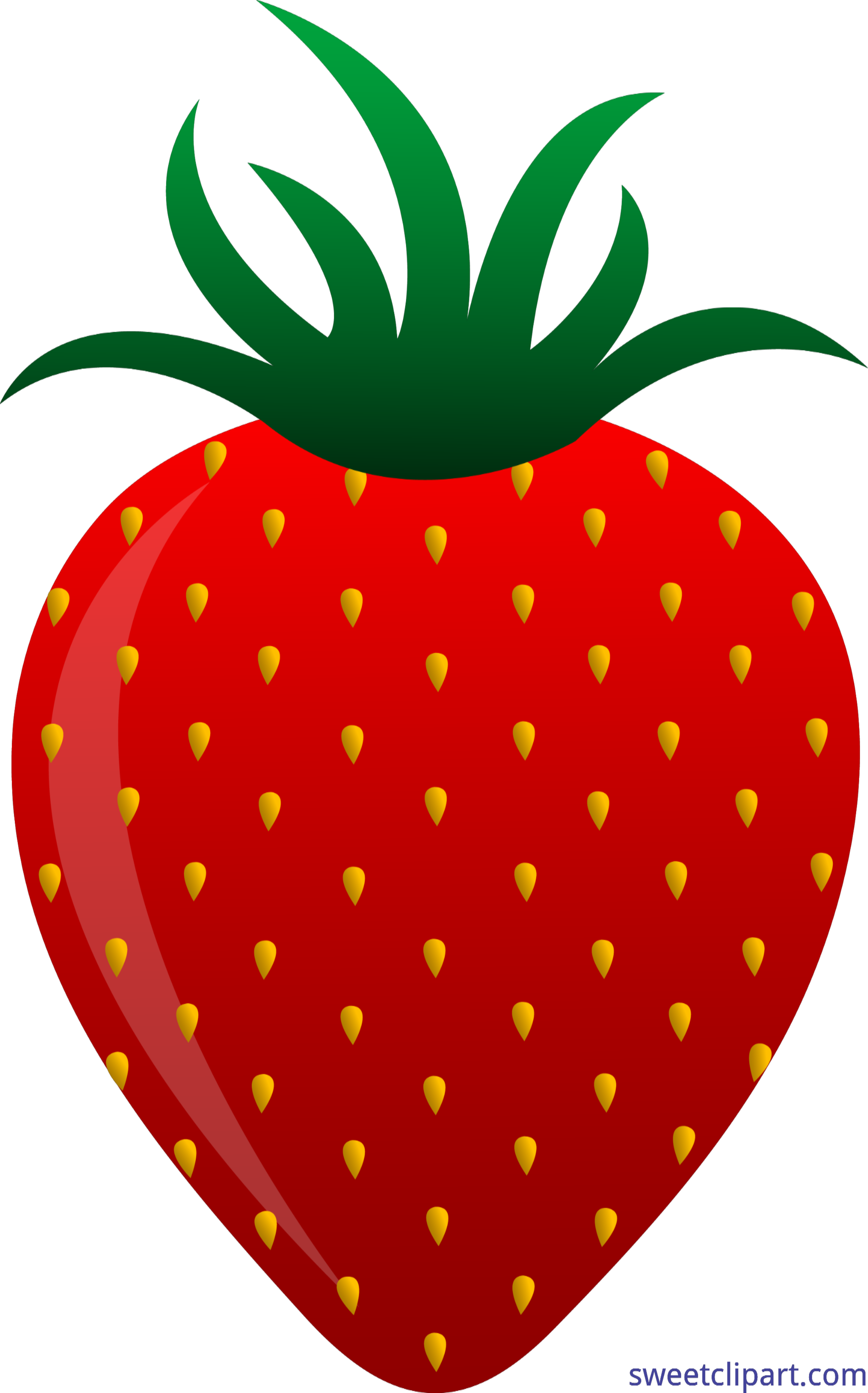4681x7510 Strawberry Vector 2 Clip Art