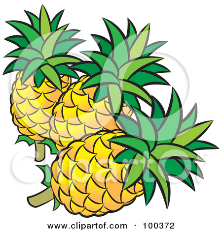 450x470 Top 83 Pineapple Clip Art