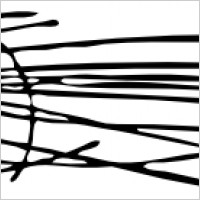 200x200 Pine Needles Clipart