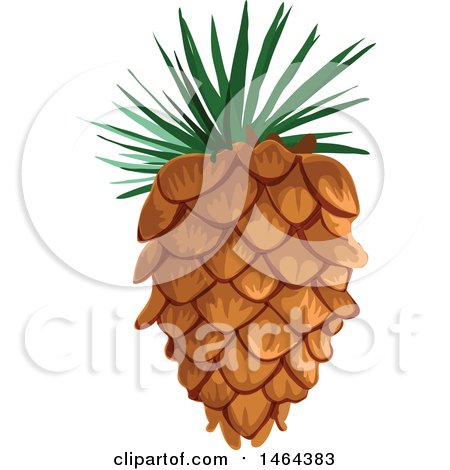 450x470 Royalty Free (Rf) Pine Cone Clipart, Illustrations, Vector Graphics