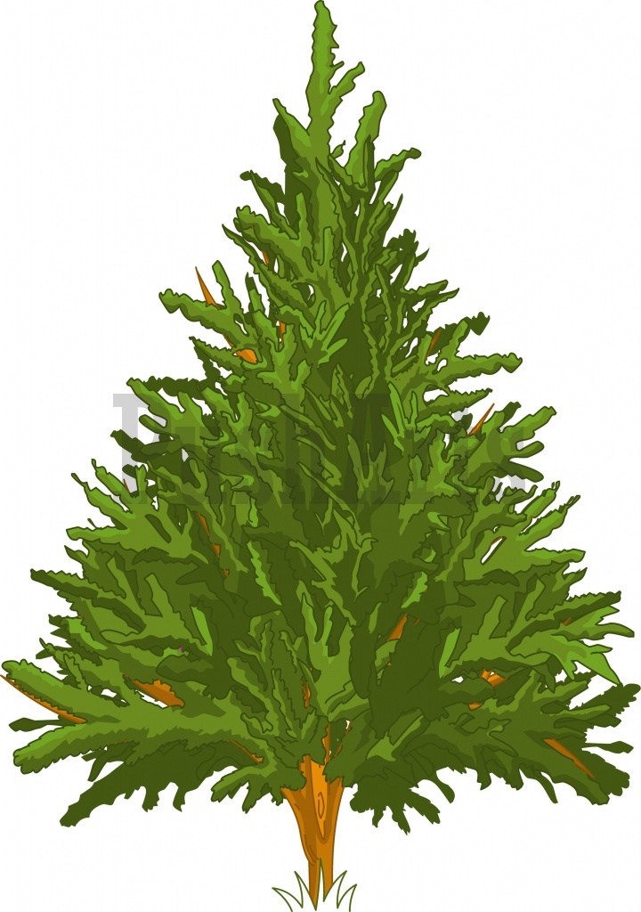 720x1024 Pine Tree Clipart 2
