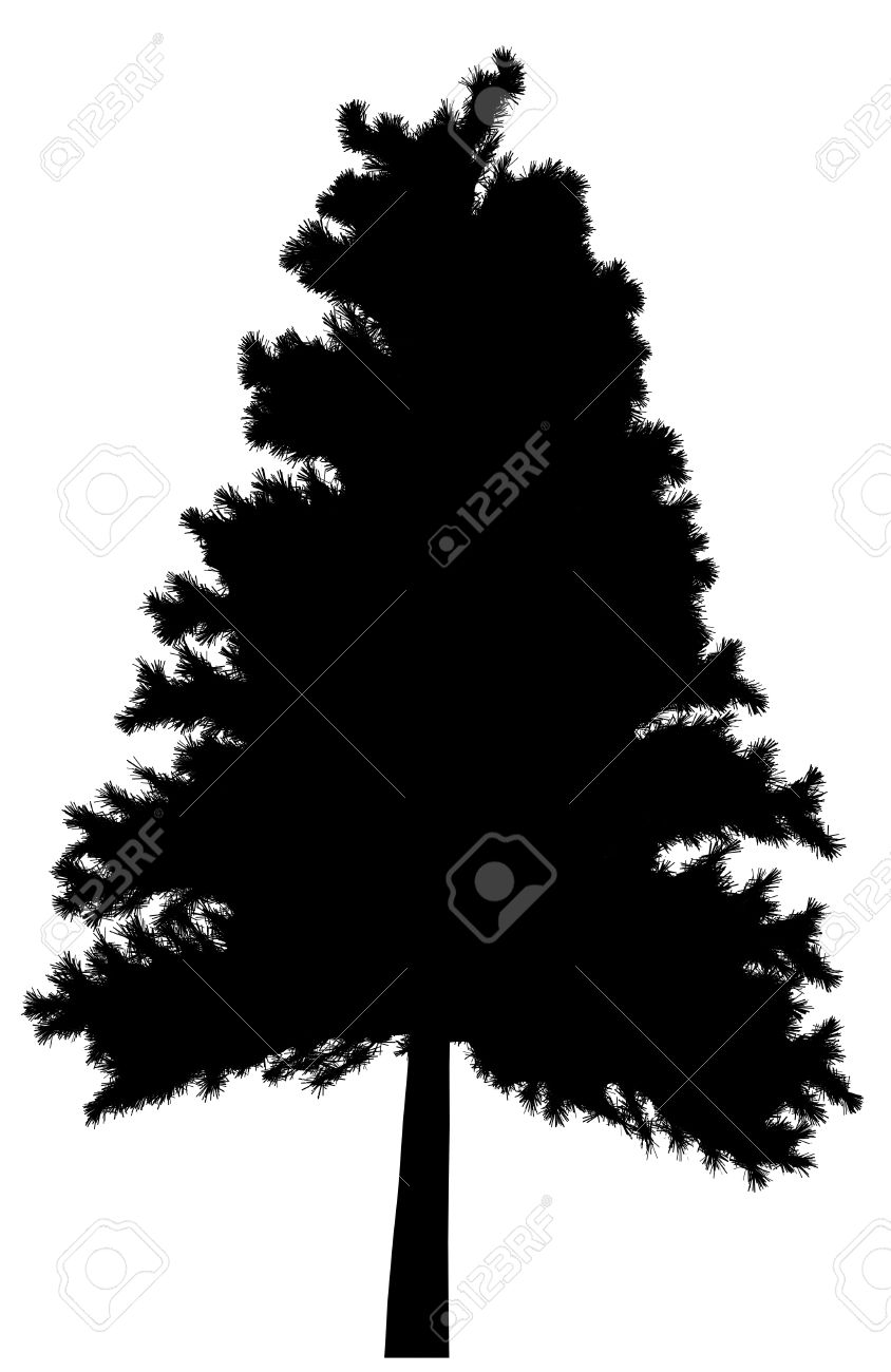 844x1300 Clip Art Pine Tree Silhouette Clip Art