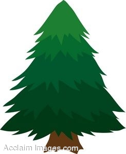 245x300 Pine Tree Snow