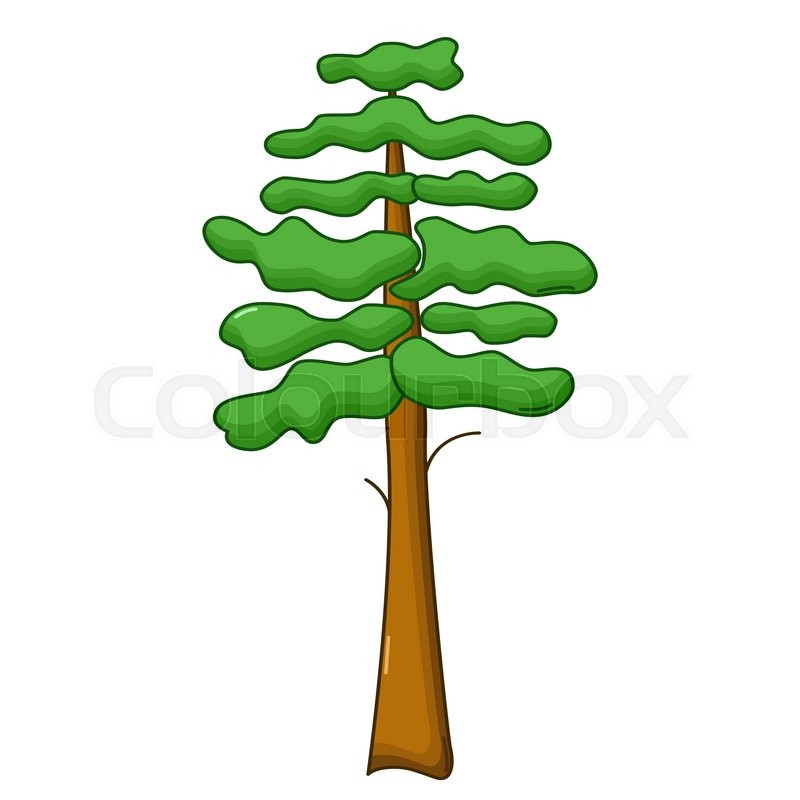 800x800 Pine Tree Icon In Cartoon Style Isolated On White Background