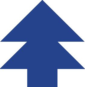 281x290 There Is A Pine Tree In Front Of My School And Whenever I See It I