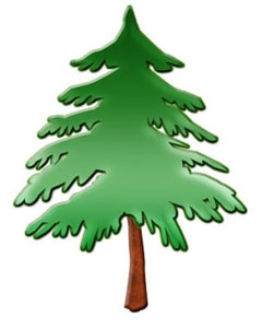 240x301 Clipart Of Pine Tree