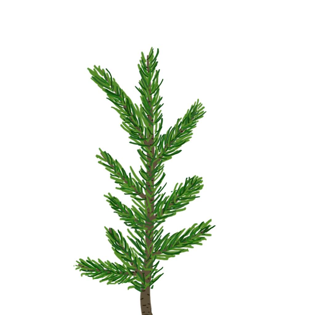 1024x1024 Creating A Pine Tree In Unity .