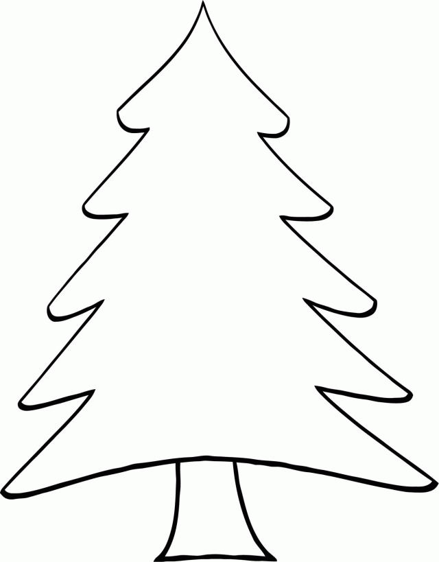 640x819 Pine Tree Coloring Pages Many Interesting Cliparts
