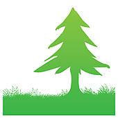 170x170 Pine Tree