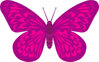 200x125 Free Butterfly Clipart Graphics. Images And Pictures Of Yellow