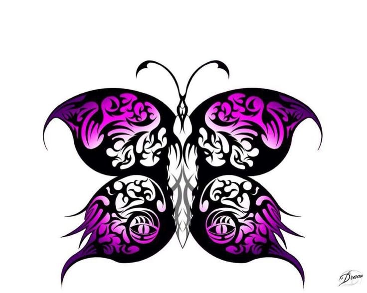 736x588 24 Best Butterflies Images Caterpillar, Butterfly