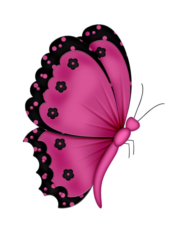 Pink Butterflies Clipart