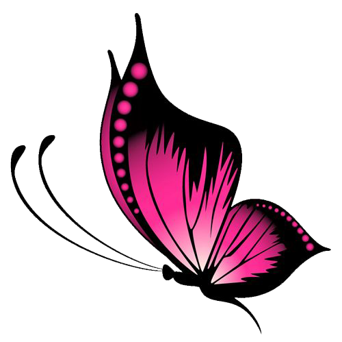 500x499 Butterfly Png Images Transparent Free Download