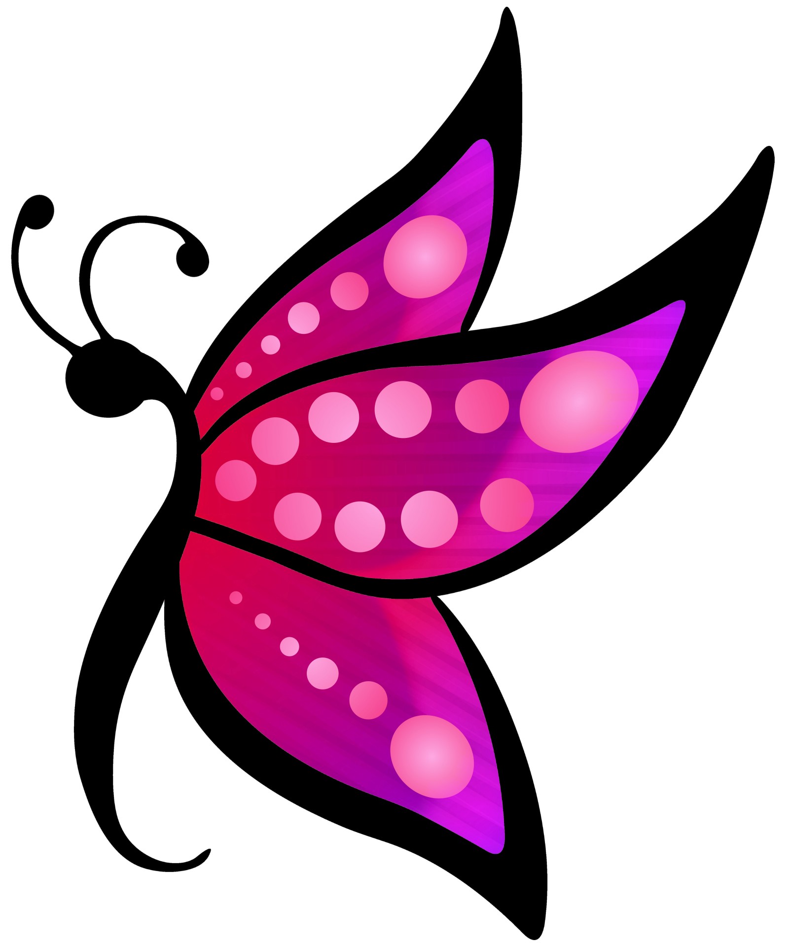 1600x1920 Clipart Butterfly 5 Free Stock Photo