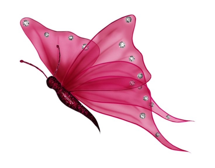 736x575 Pink Flying Butterfly Clipart