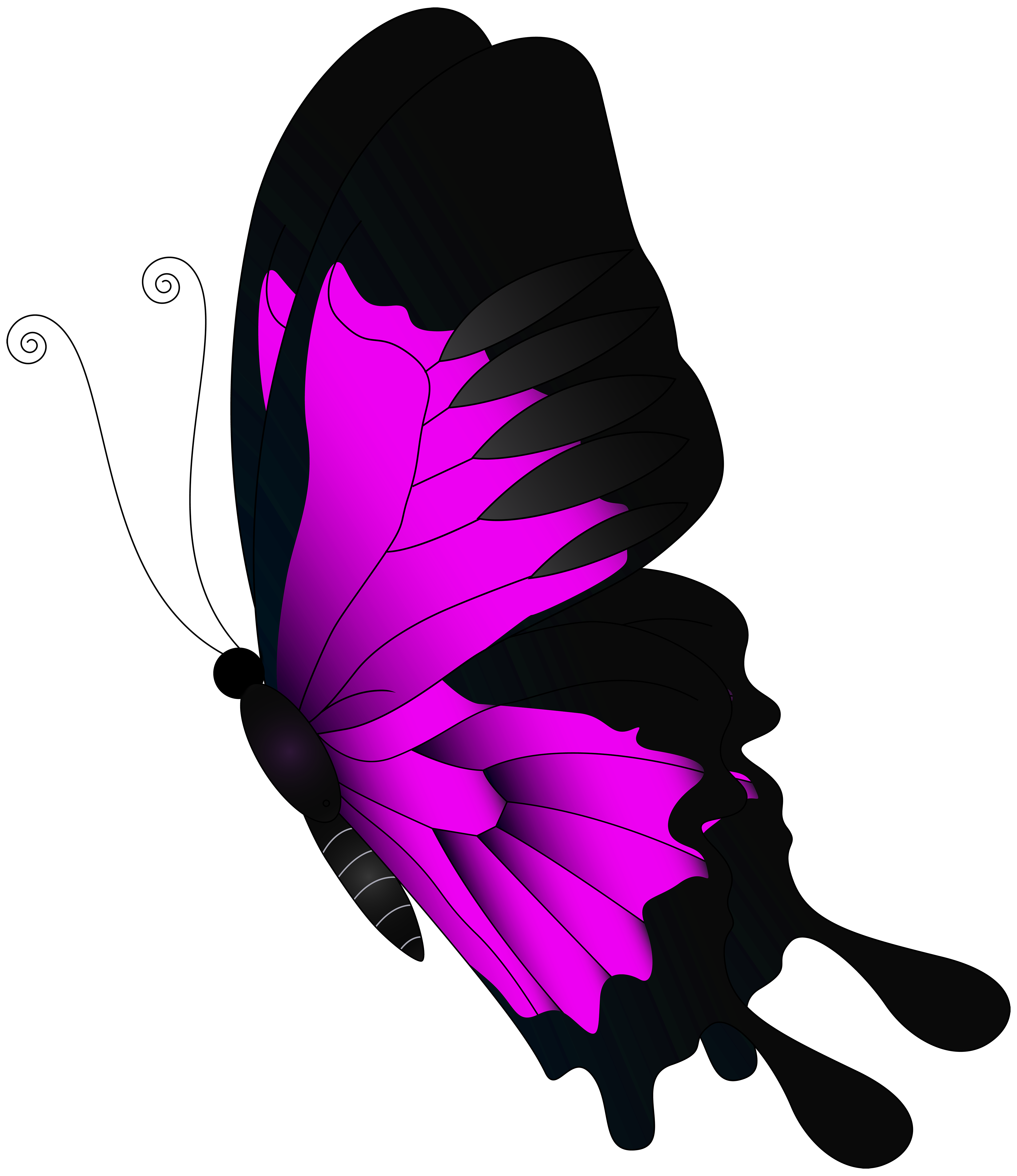 4323x5000 Pink Flying Butterfly Png Clip Artu200b Gallery Yopriceville