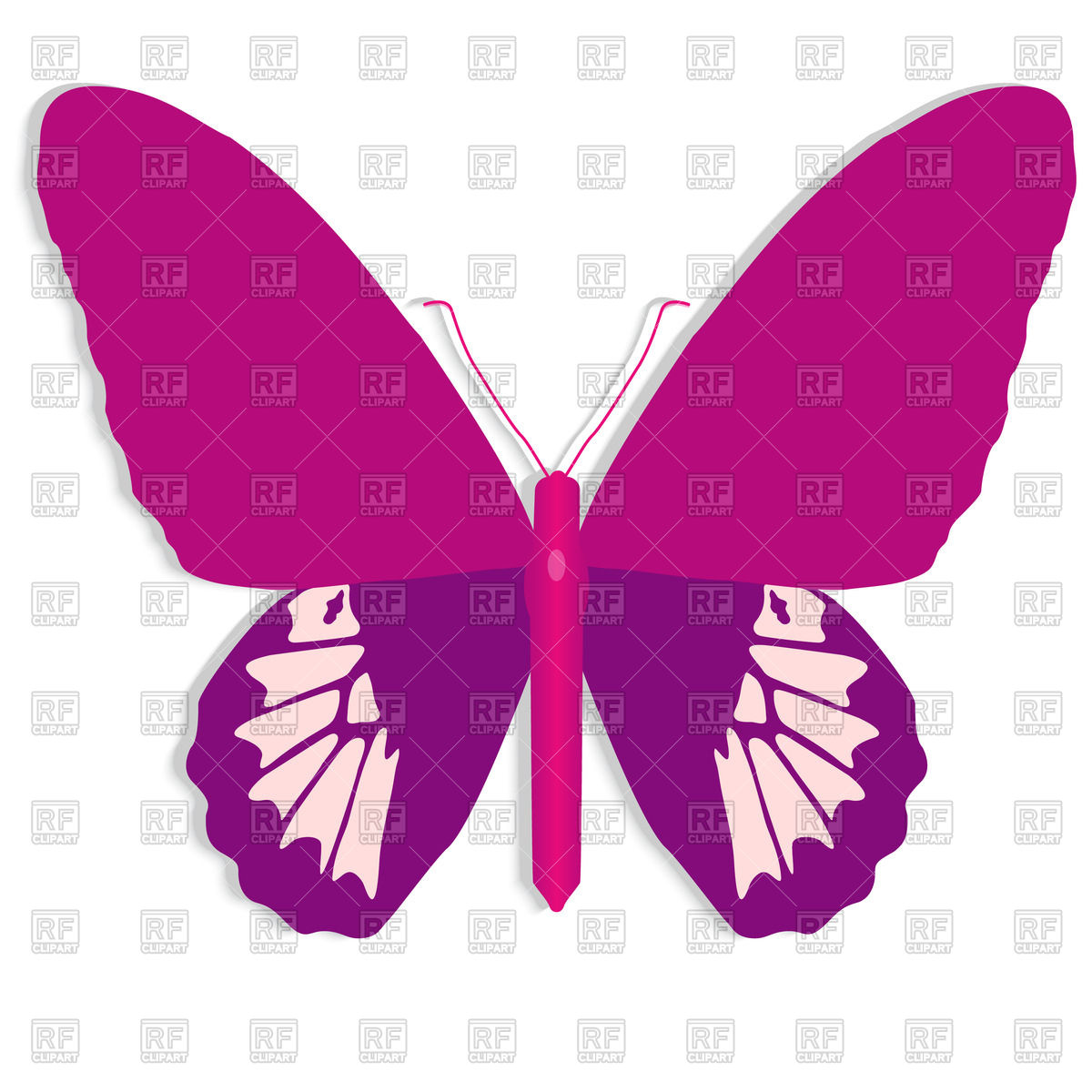 1200x1200 Pink Butterfly Royalty Free Vector Clip Art Image