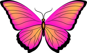 300x182 Top 87 Butterfly Clip Art