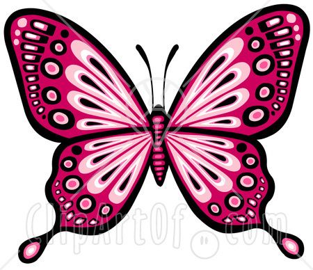 450x388 Butterfly Clipart Pretty Butterfly