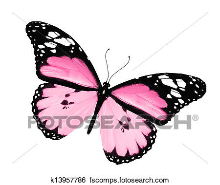 450x380 Stock Illustration Of Pink Butterfly, Isolated On White Background