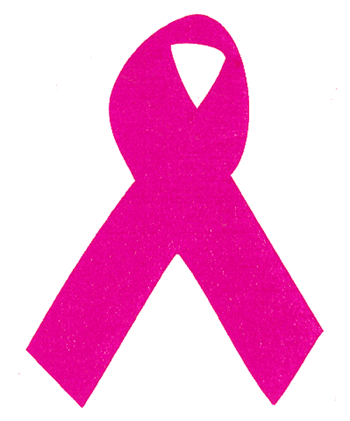500x602 Breast Cancer Pink