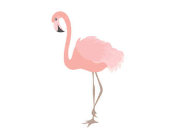 340x270 Flamingo Clip Etsy
