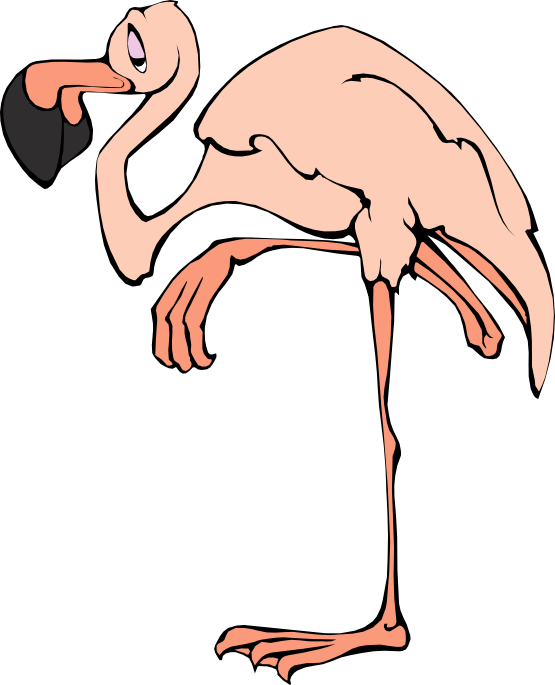 555x685 Free To Use Amp Public Domain Flamingo Clip Art