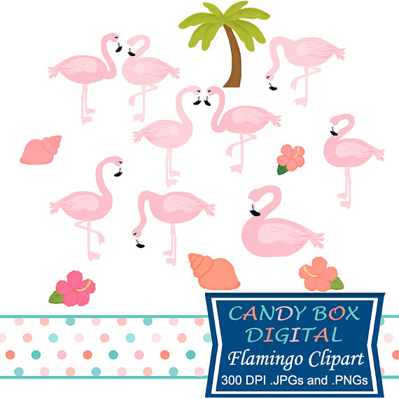 570x570 Pink Flamingo Clipart Tropical Bird Clip Art Commercial Use
