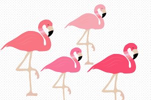 300x200 Top 81 Flamingo Clip Art
