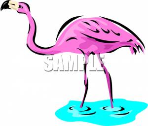 300x256 Flamingo In Blue Water